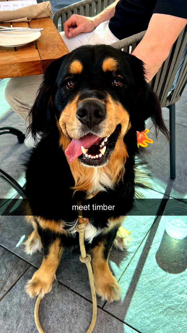 alliebear snapchat image archive image