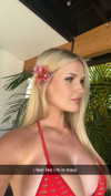 alliebear Altpins Profile Picture