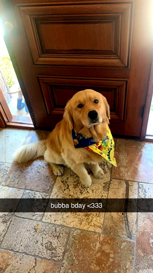 alliebear snapchat image archive image
