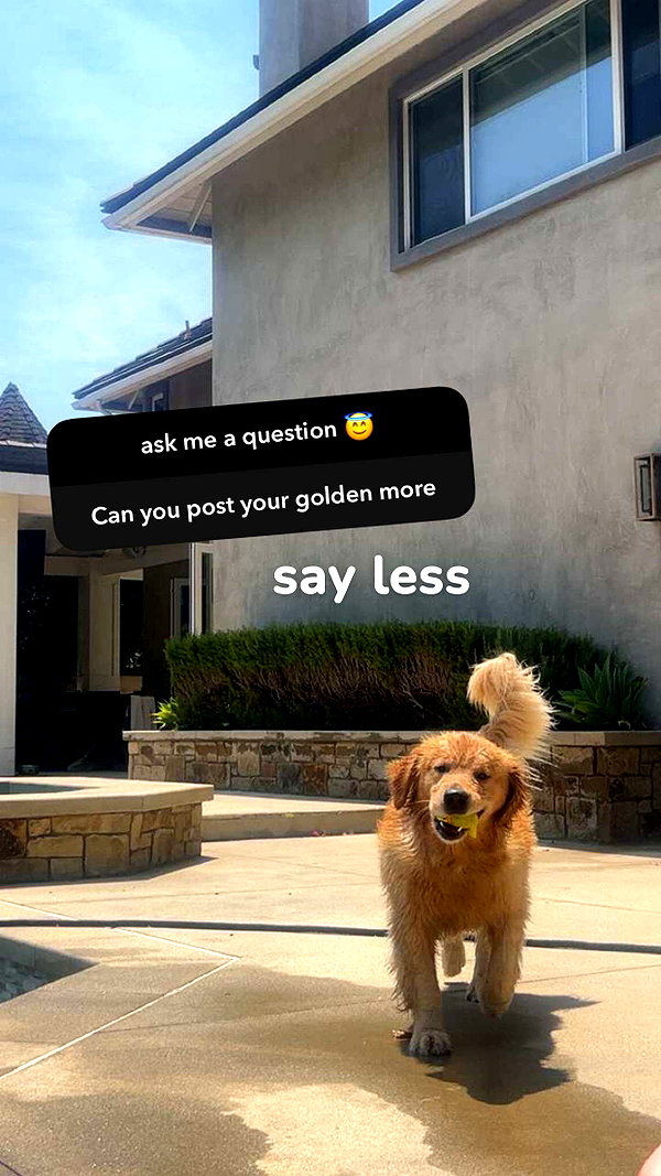 alliebear snapchat image archive image