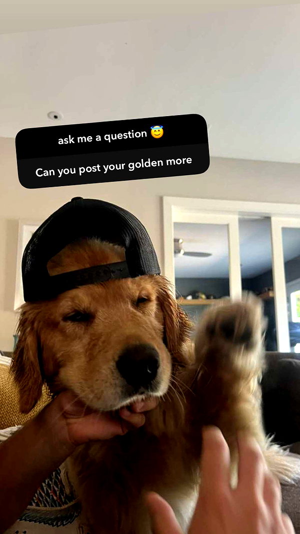 alliebear snapchat image archive image
