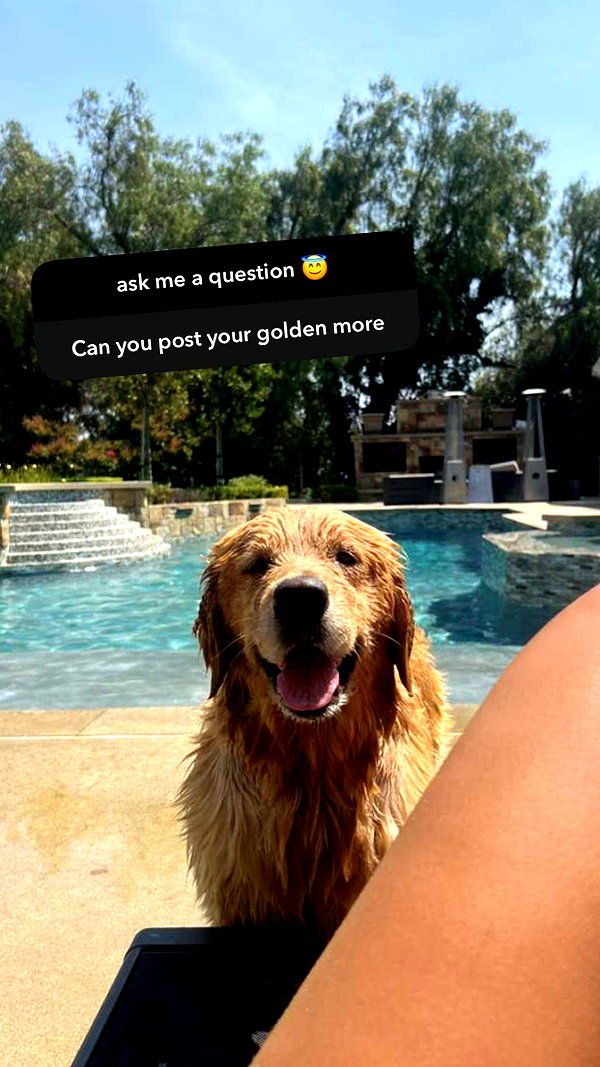 alliebear snapchat image archive image
