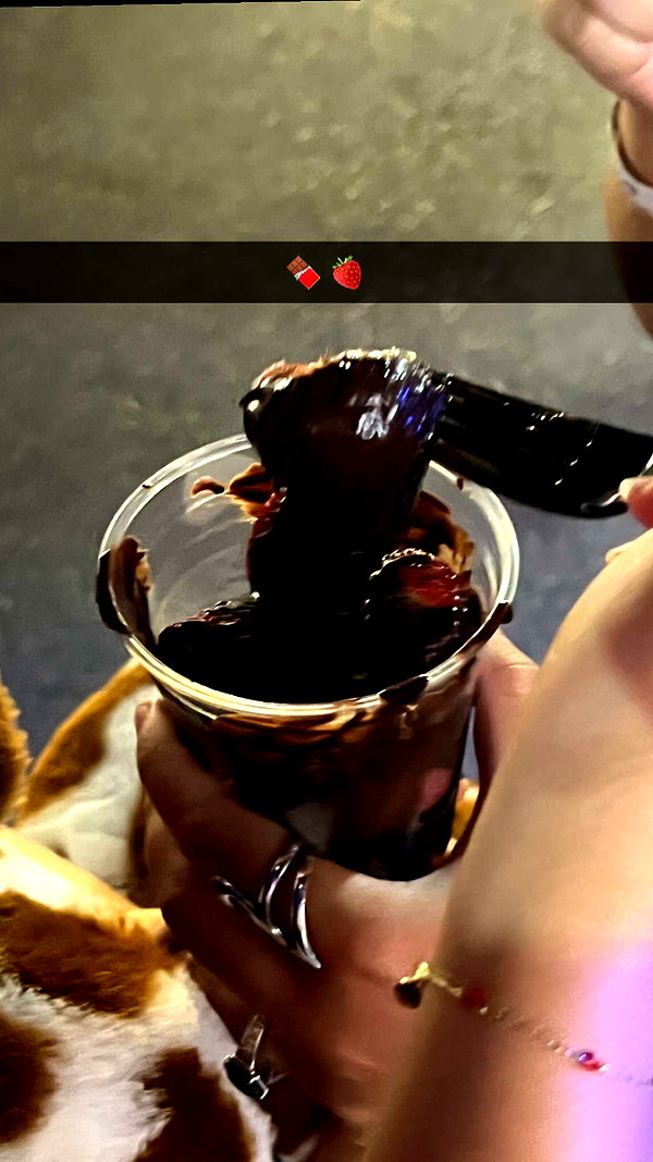 alliebear snapchat image archive image