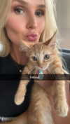 alliebear Altpins Profile Picture