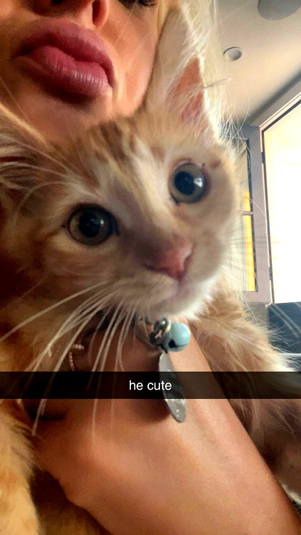 alliebear snapchat image archive image