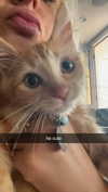 alliebear Altpins Profile Picture