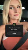 alliebear Altpins Profile Picture