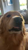 alliebear Altpins Profile Picture