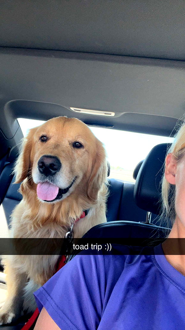 alliebear snapchat image archive image