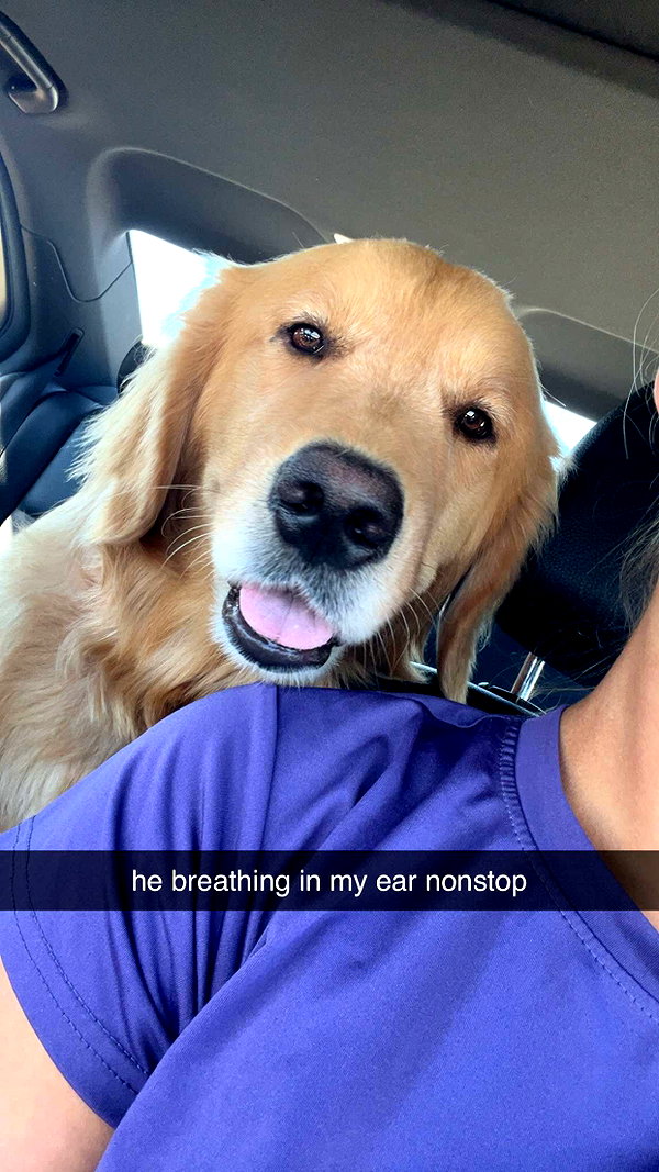 alliebear snapchat image archive image