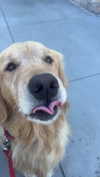 alliebear Altpins Profile Picture