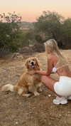 alliebear Altpins Profile Picture