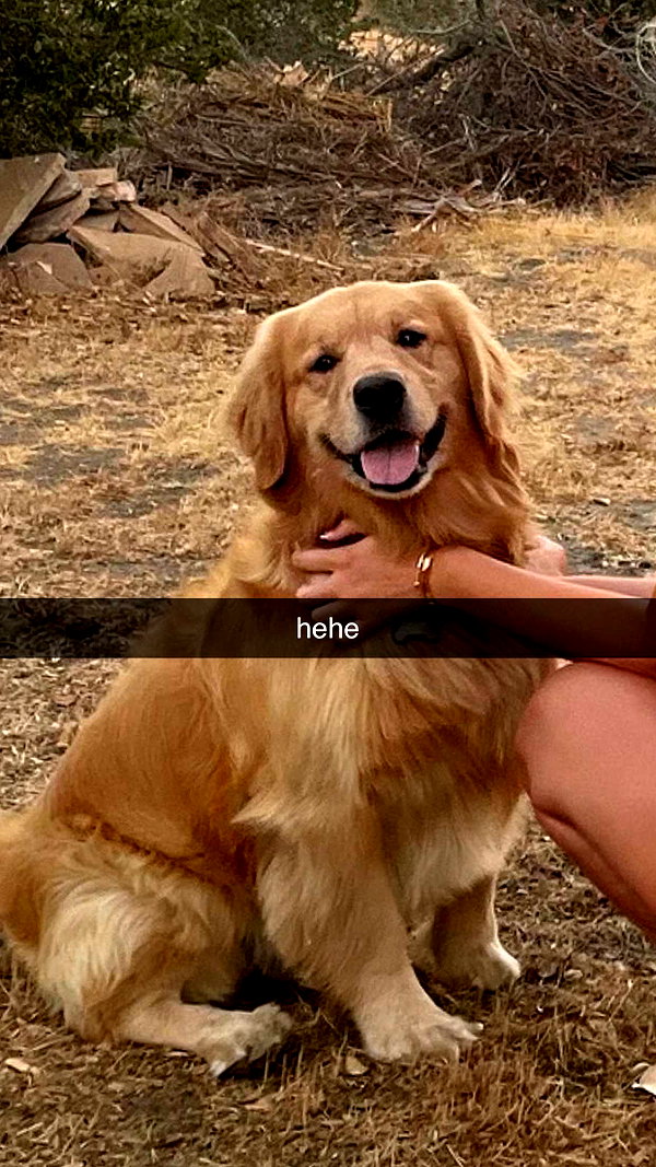 alliebear snapchat image archive image