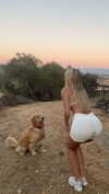 alliebear Altpins Profile Picture