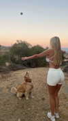 alliebear Altpins Profile Picture