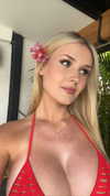 alliebear Altpins Profile Picture
