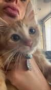 alliebear Altpins Profile Picture