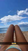 alliebear Altpins Profile Picture