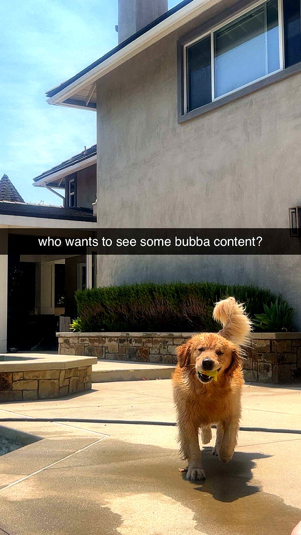 alliebear snapchat image archive image
