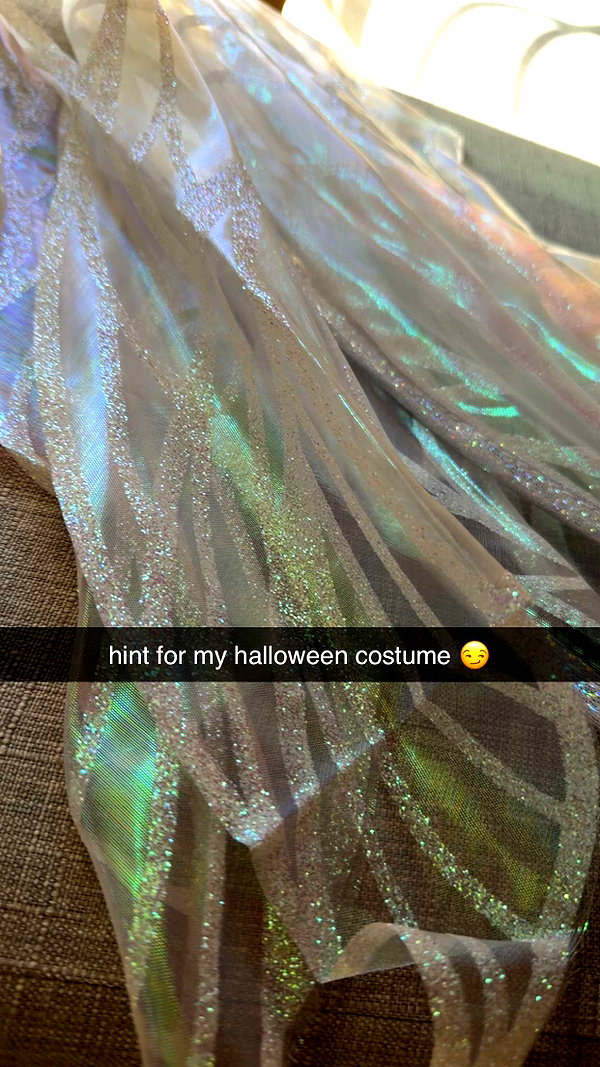 alliebear snapchat image archive image
