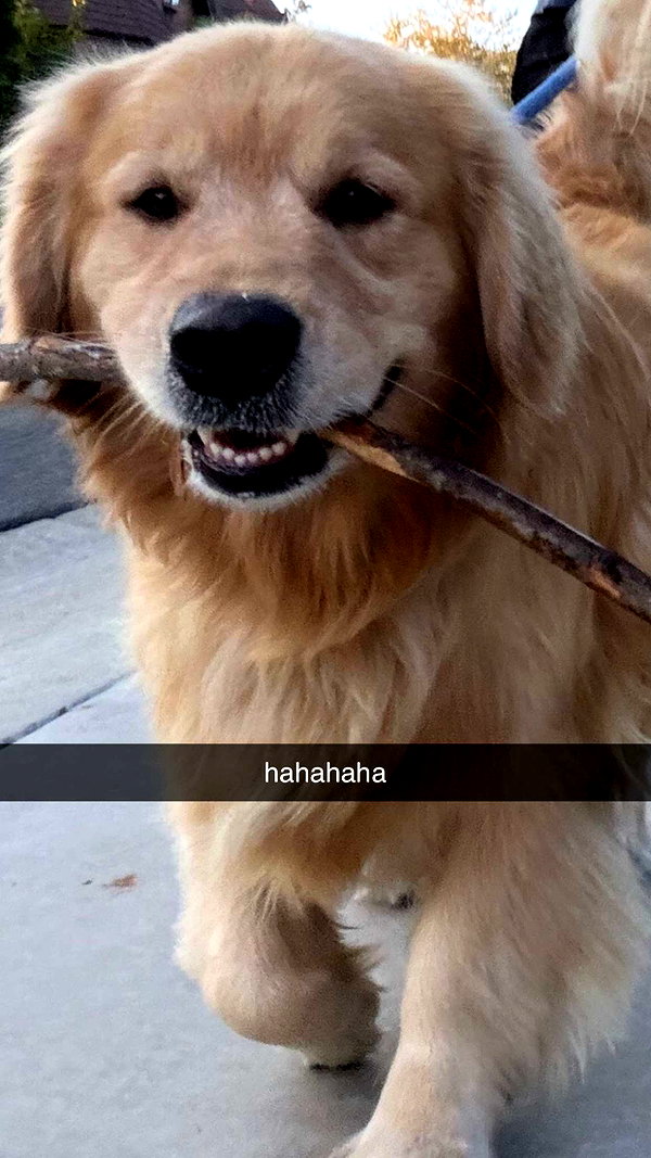 alliebear snapchat image archive image