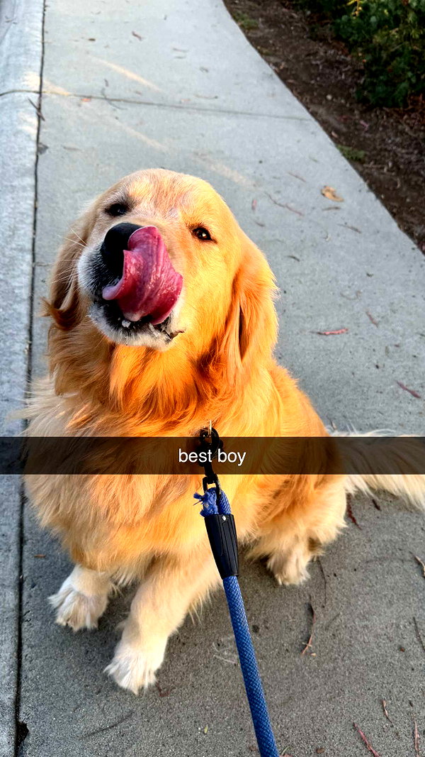 alliebear snapchat image archive image