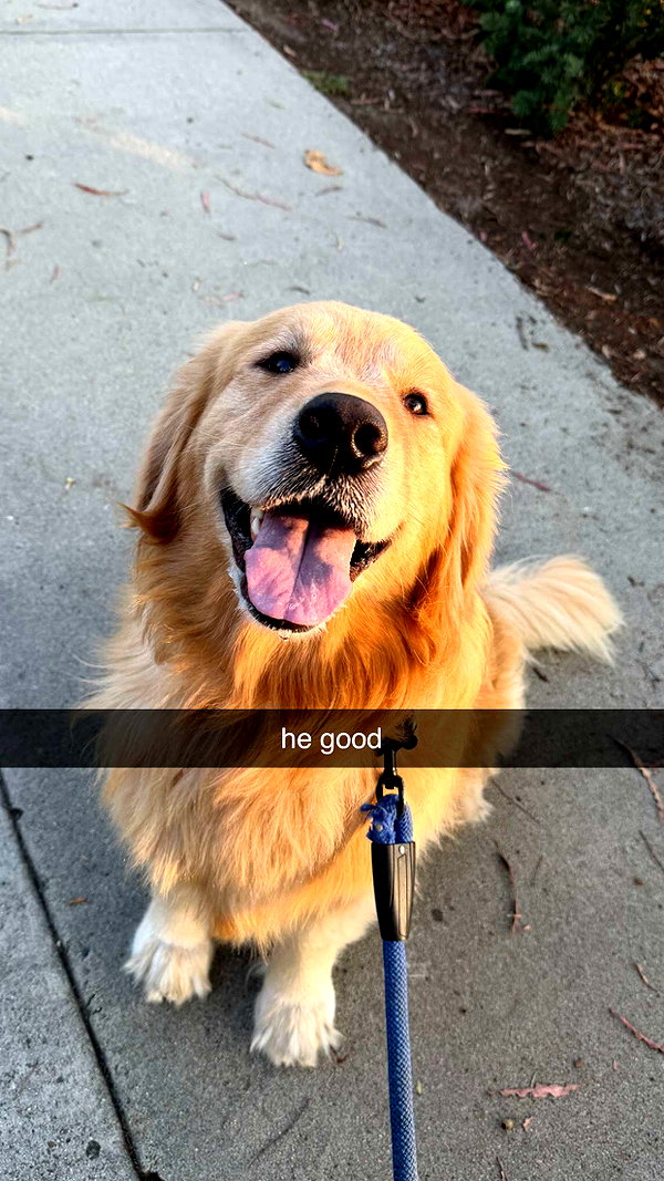 alliebear snapchat image archive image