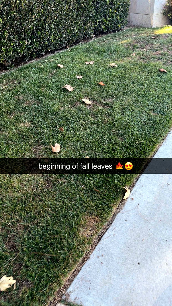 alliebear snapchat image archive image