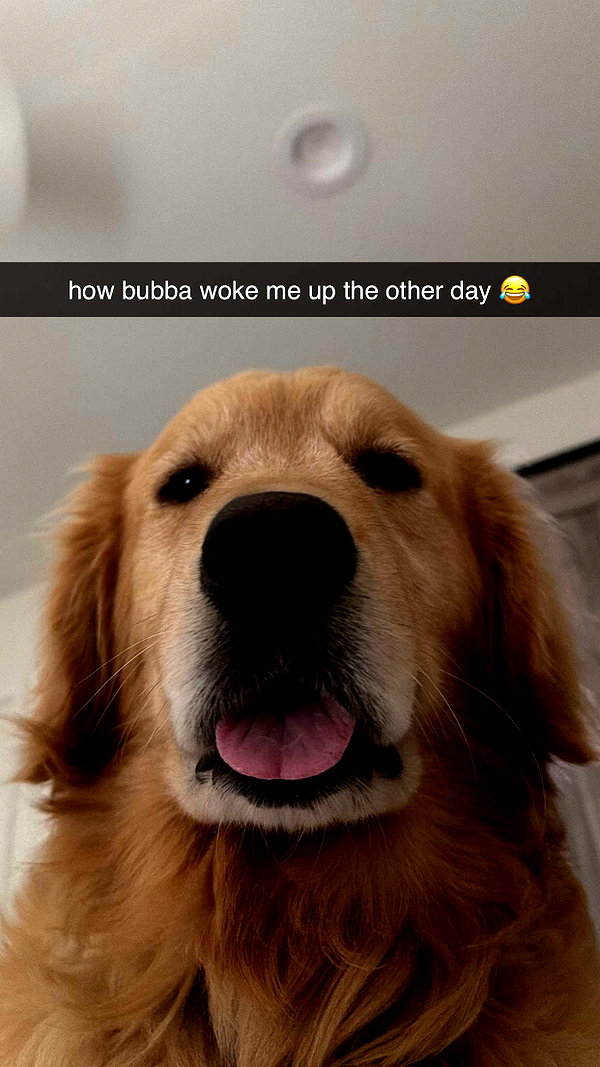 alliebear snapchat image archive image
