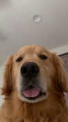 alliebear Altpins Profile Picture