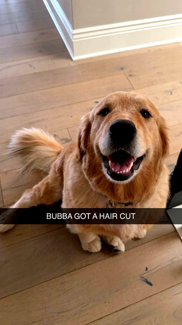alliebear snapchat image archive image