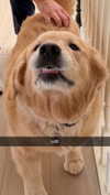 alliebear Altpins Profile Picture