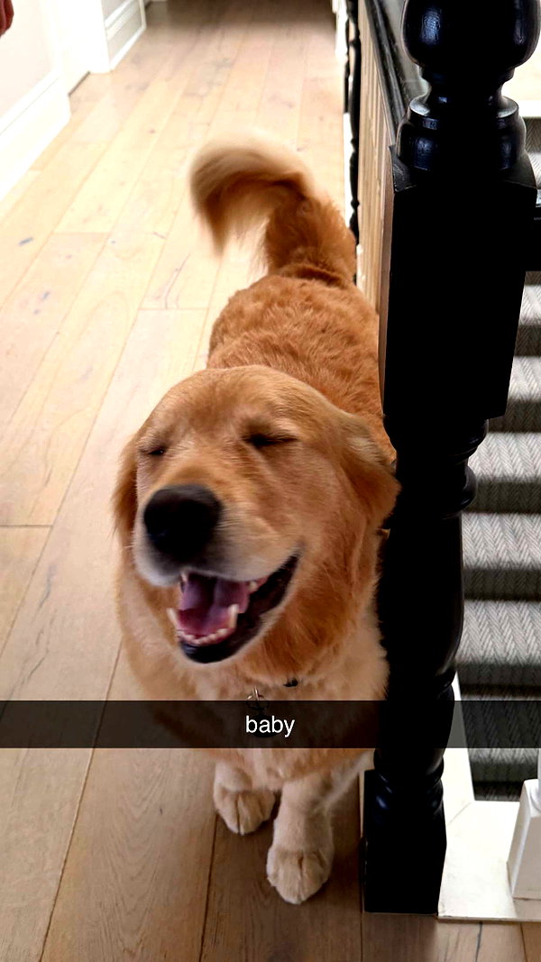 alliebear snapchat image archive image