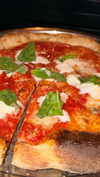 alliebear Altpins Profile Picture
