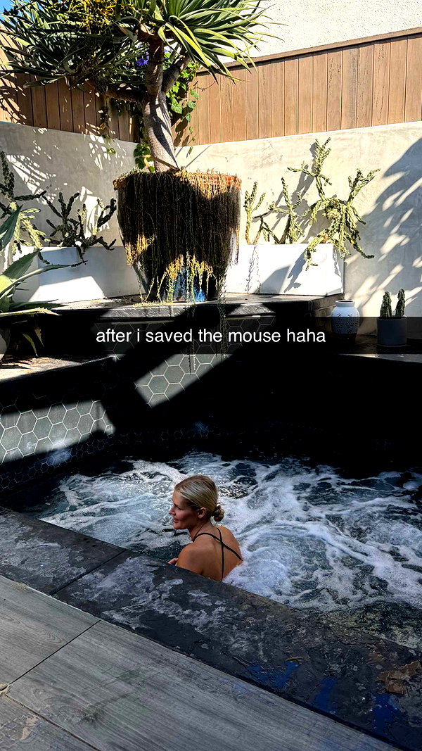 alliebear snapchat image archive image