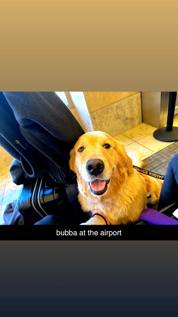 alliebear snapchat image archive image