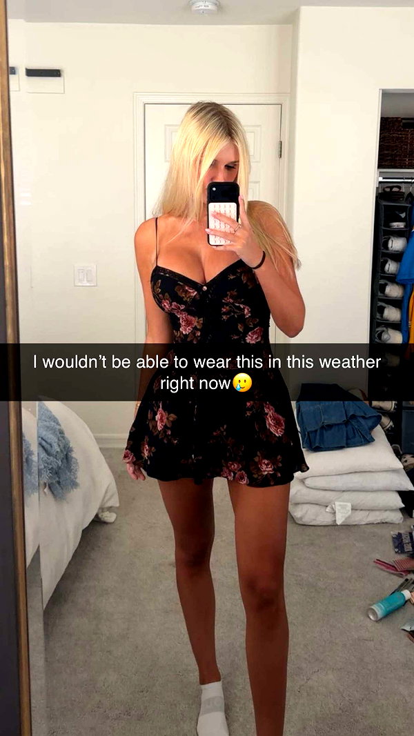alliebear alliebear archive image