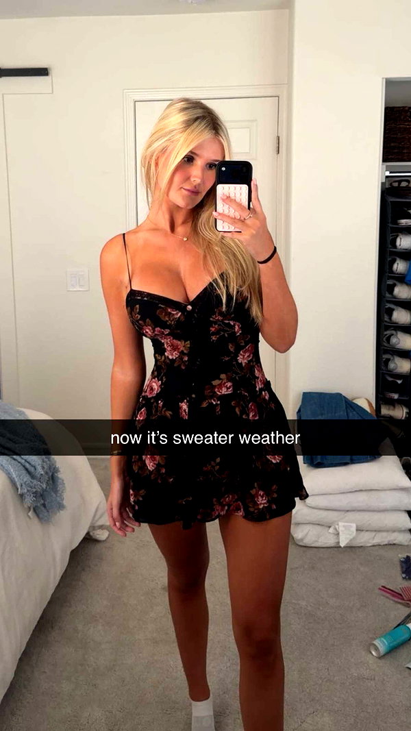 alliebear alliebear archive image