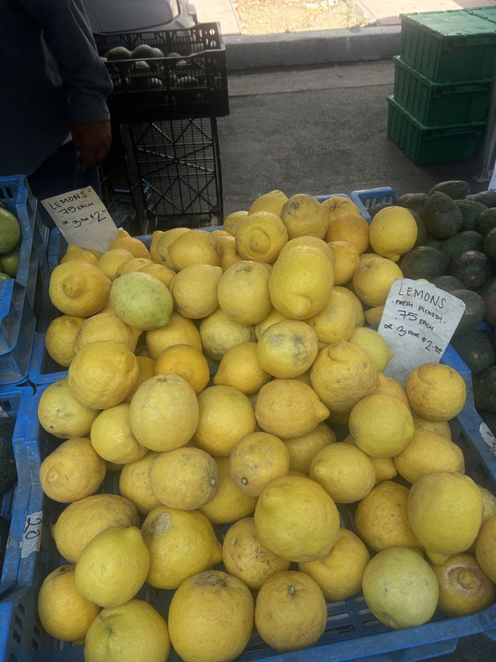 ally1renee snapchat image archive image