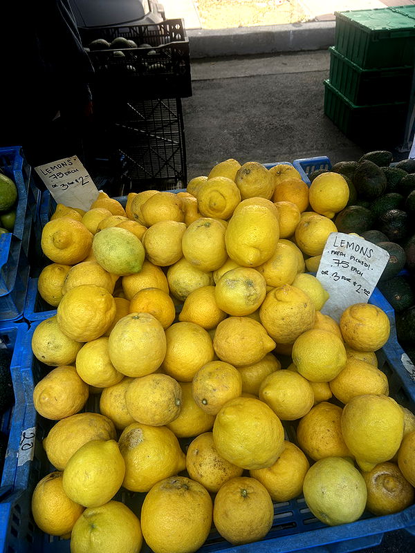 ally1renee image ~ Altpins