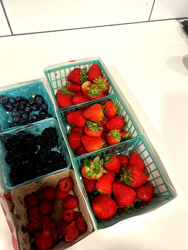 ally1renee image ~ Altpins