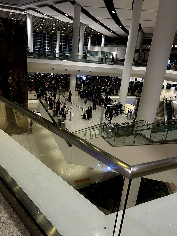 ally1renee image ~ Altpins