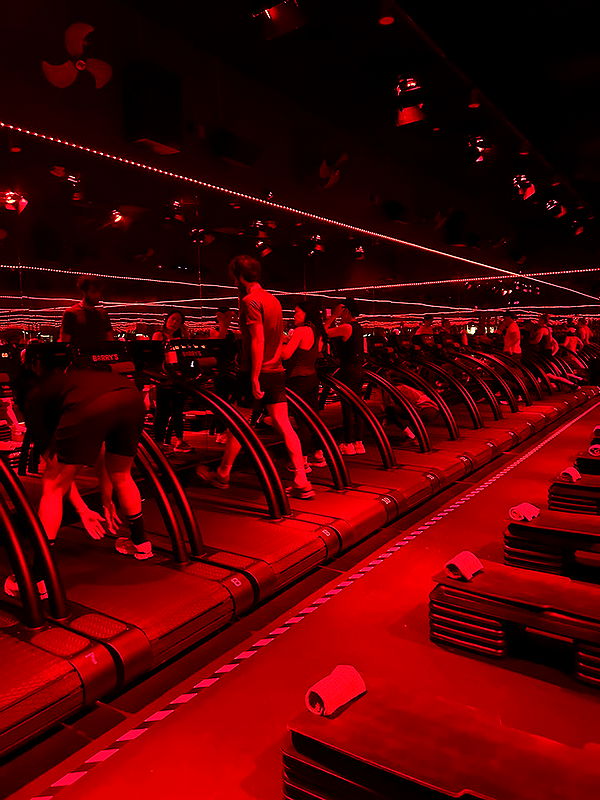 ally1renee image ~ Altpins