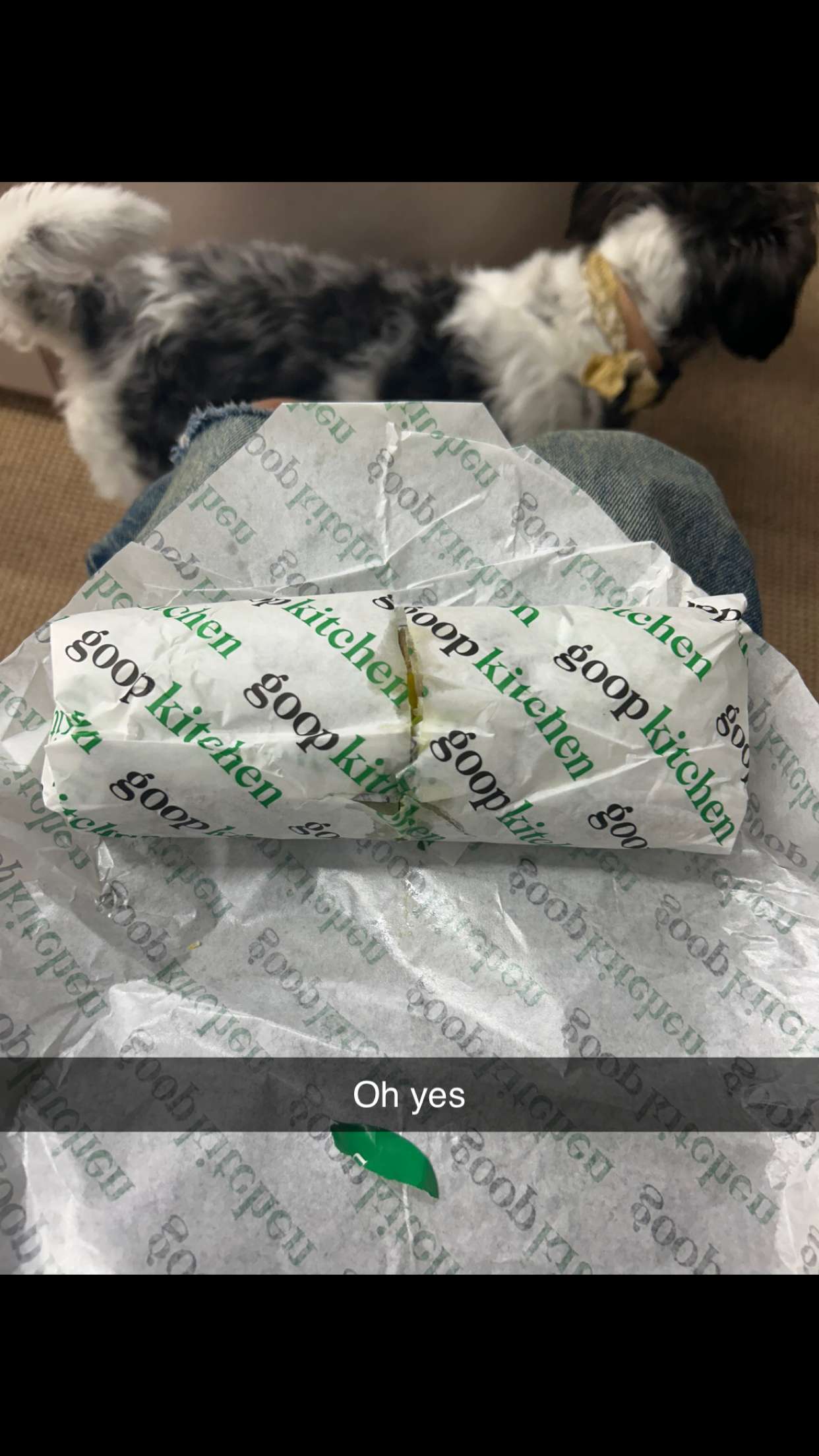 ally1renee snapchat image archive image