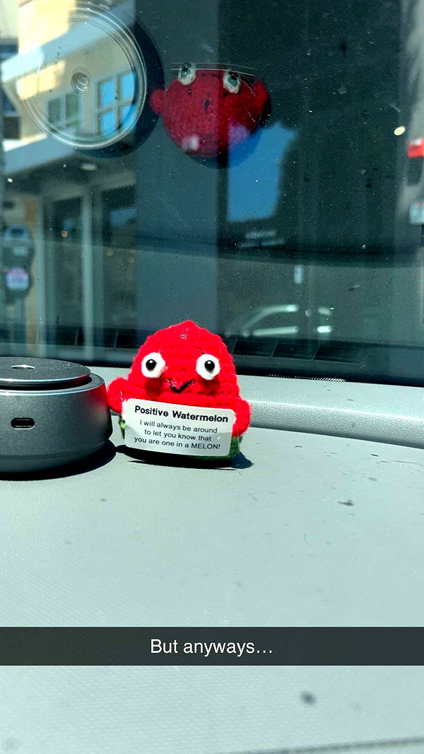 ally1renee image ~ Altpins