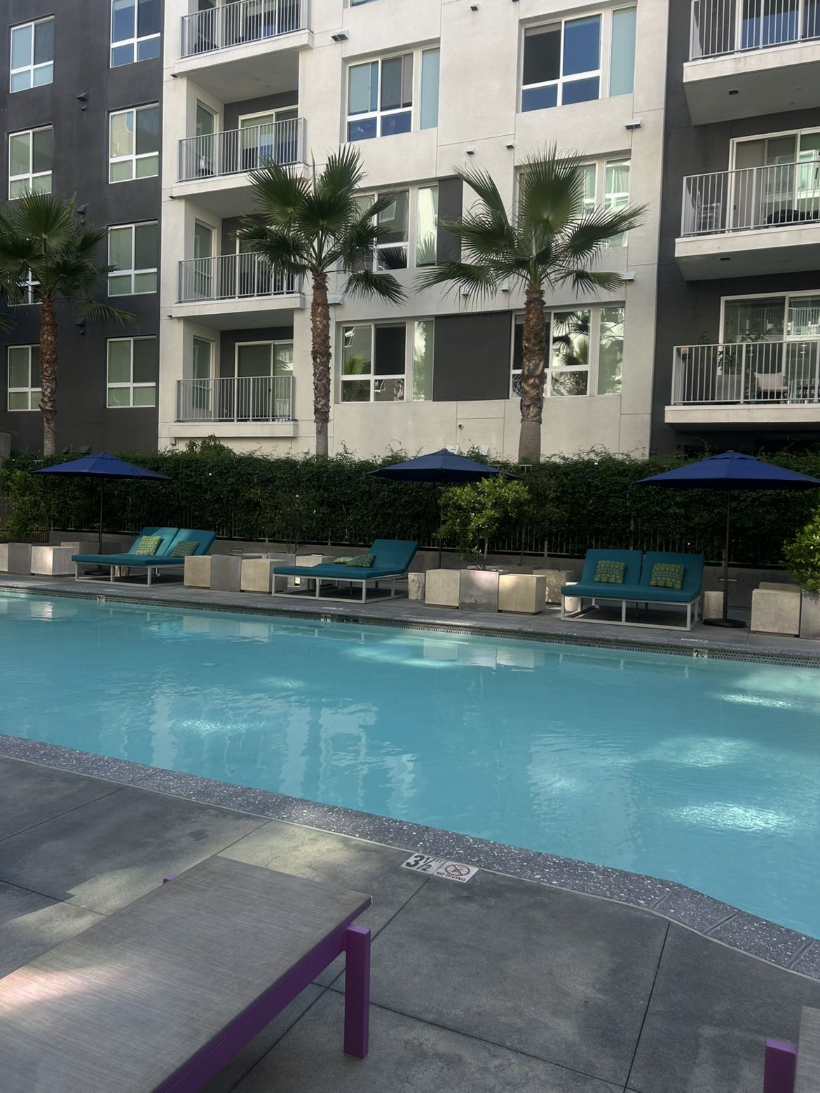 ally1renee snapchat image archive image