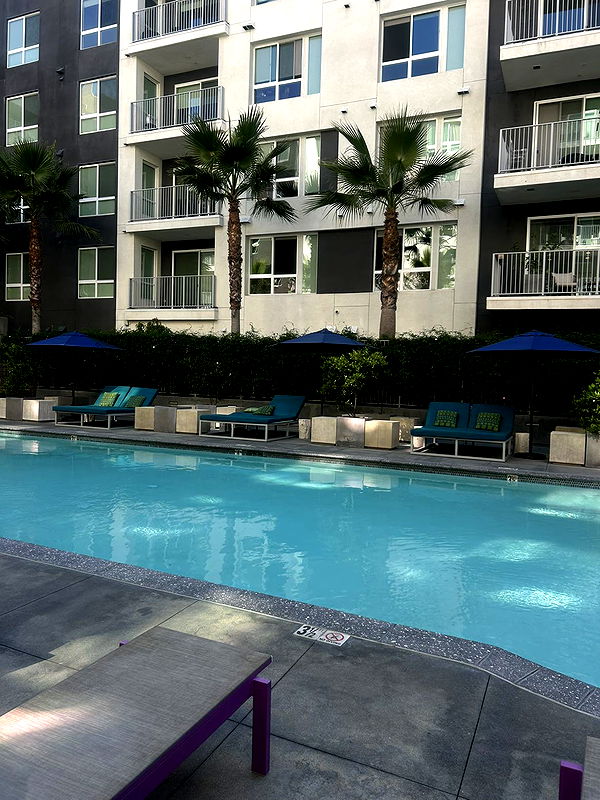 ally1renee image ~ Altpins