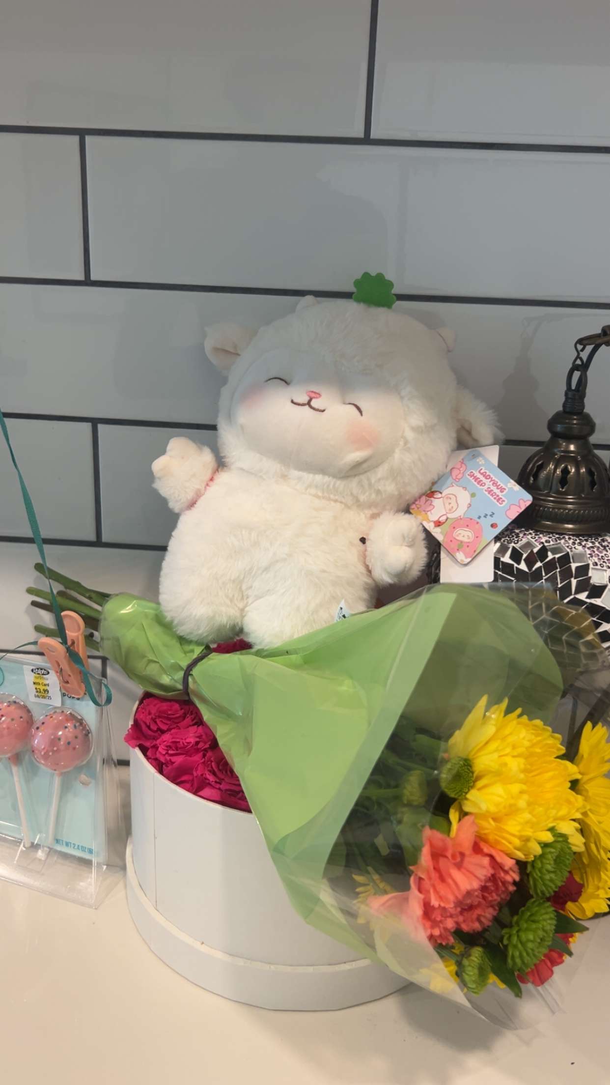 ally1renee snapchat image archive image