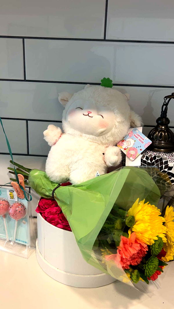 ally1renee image ~ Altpins