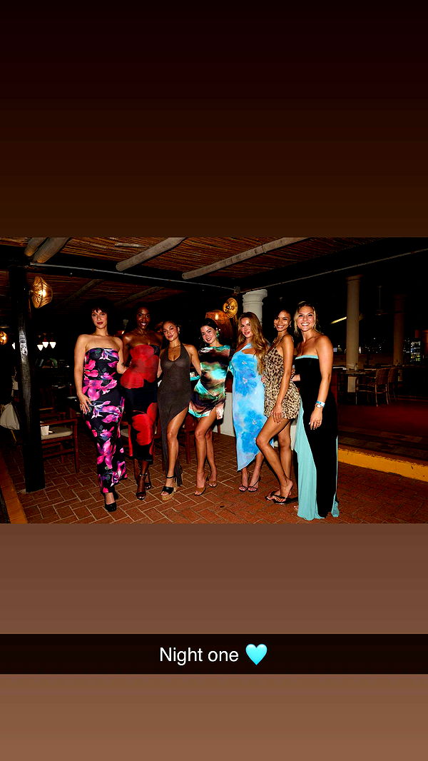 ally1renee image ~ Altpins